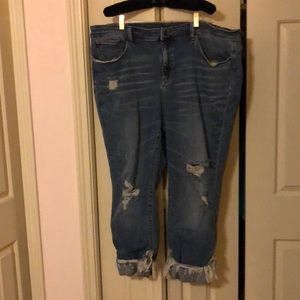 Plus size Judy Blue Jeans
